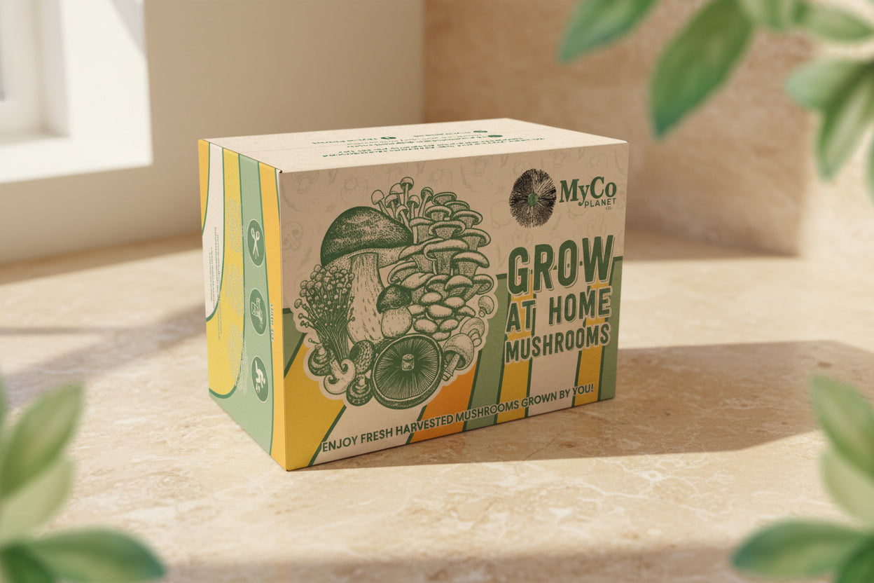 Organic Blue Oyster Grow Kit