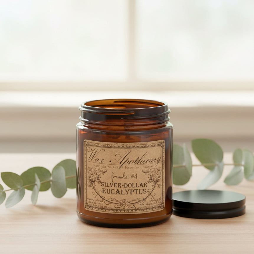 6 oz Botanical Candle in Amber Glass Jar - Silver-Dollar Eucalyptus