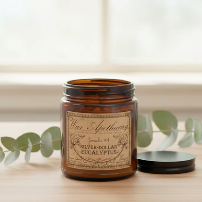 6 oz Botanical Candle in Amber Glass Jar - Silver-Dollar Eucalyptus