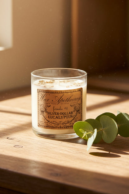 Silver-Dollar Eucalyptus 7 oz Botanical Candle in Scotch Glass