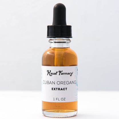 Cuban Oregano Tincture