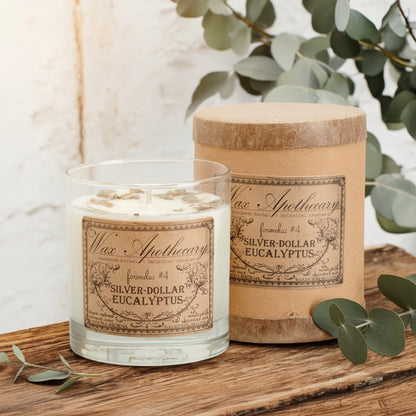Silver-Dollar Eucalyptus 7 oz Botanical Candle in Scotch Glass