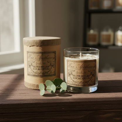 Silver-Dollar Eucalyptus 7 oz Botanical Candle in Scotch Glass