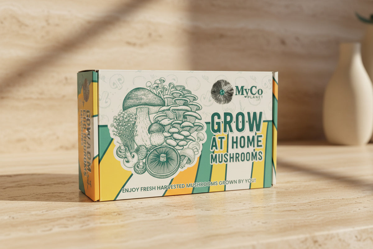 Organic Lion’s Mane Grow Kit