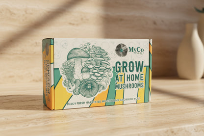 Organic Lion’s Mane Grow Kit
