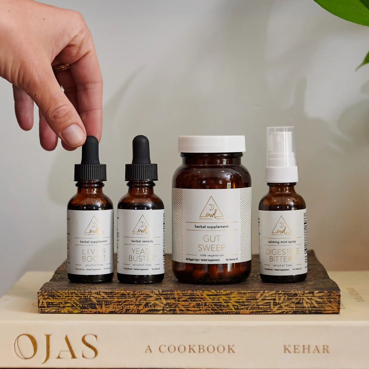 OWL Supplement Kit