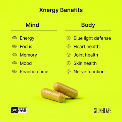 Calm Energy Bundle