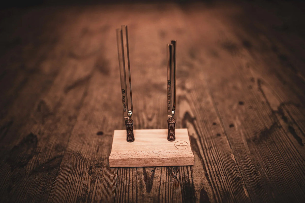 2-Piece Day & Night Planetary Tuned Tuning Fork Set incl. Holder