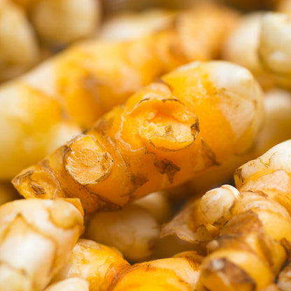 Turmeric Tincture