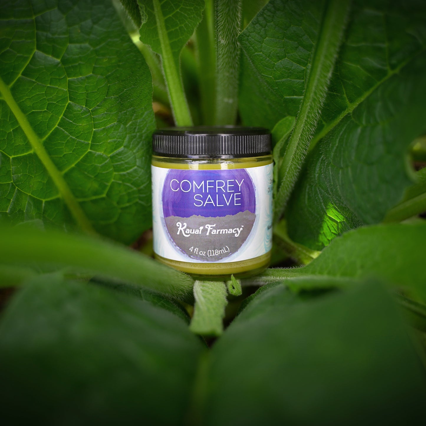 Comfrey Salve